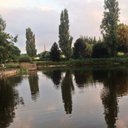 Bruce emery  - @0_emery - Twitter