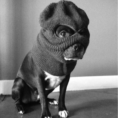 ConfIictions's profile picture. 