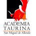 @academiataurin