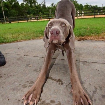 wmackelburg's profile picture. 