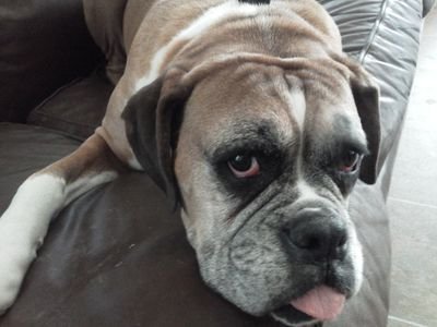 FgGack's profile picture. 