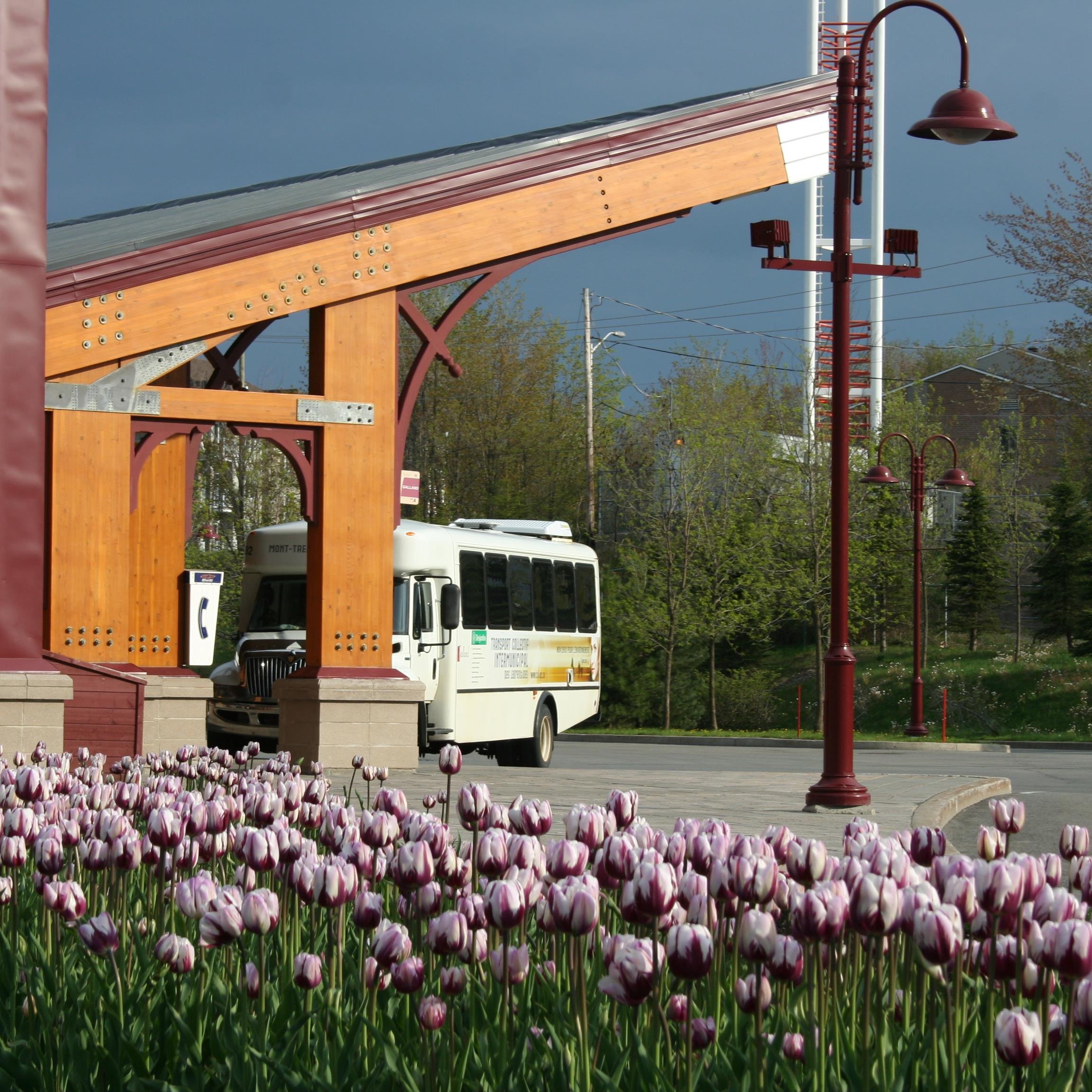 Transport adapté et collectif des Laurentides