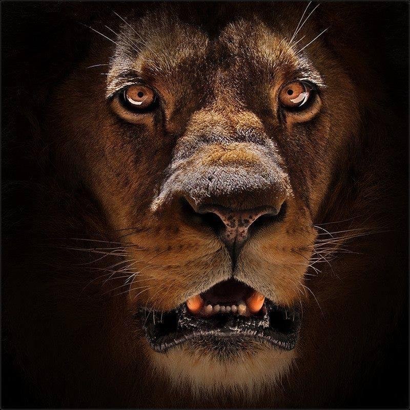 Stock Market Investor & Swing trader..  Technical's and Fundamentals....

NO chatroom - NO Discord - NO  Products to sell

Not Investment Advice - My  Opinions
