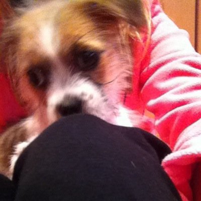 RacheCraig's profile picture. Hey twitter peeps xx