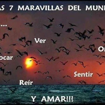 Ser humilde agradable y colaborar en lo que se pueda