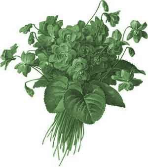 maykop_r1's profile picture. 