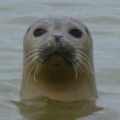 Thank you for following me...Please let me know if I can help you in any way.
