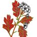 Greenhaw Primary & Nursery School (@greenhaw_ps) Twitter profile photo Greenhaw Primary & Nursery School (@greenhaw_ps) Twitter profile photo