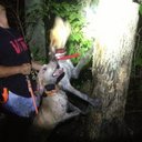 john allender - @j_allender111 - Twitter