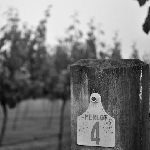 Amimd875's profile picture. 