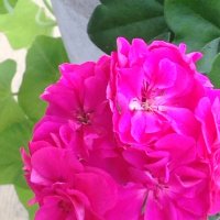 Darshna Katwala (@darshnakatwala) 's Twitter Profile