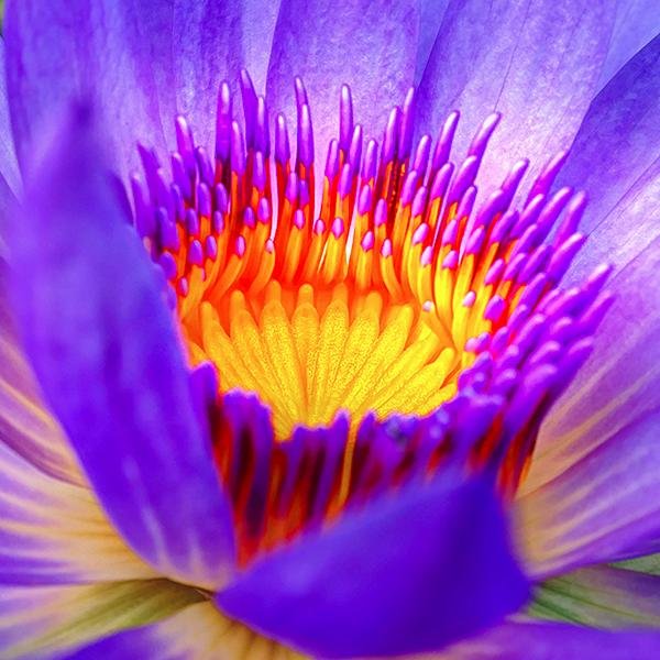 Deliberately chosen thoughts about spirituality.