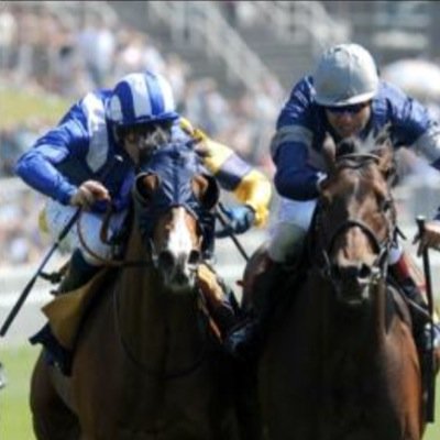 professional horse racing punter , get to know me get to know money