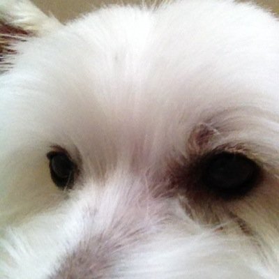Murphy6Sylvia Profile Picture