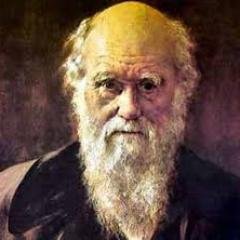 Animals, whom we have made our slaves, we do not like to consider our equal.
Charles Darwin

Read more at http://t.co/VtWjTwicrc