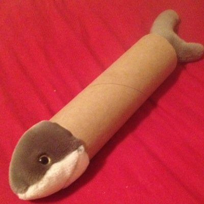 TubeShark's profile picture. I'm just a simple shark who likes simple things, such as my tube, and my Team Handball boys who graciously named their team after me! GO TUBESHARKS!