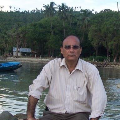 Mine planner/Designer/Mine Due Diligence/Lender's Independent Engineer, heads Min Mec, previously in BCCL, CMPDIL, Lubrich Consultants Pvt Ltd
