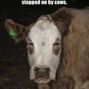 Kolby Brown - @o_okolby - Twitter