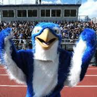 Cedar Crest Athletics(@CCHSFalcons) 's Twitter Profile Photo