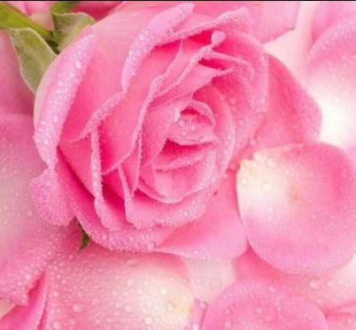 ‏أنا إنسانة صامتـــــــــة .. لكن حروفي ناطقــــــــــة .. مشاعري وأحاسيسي ذابلة .. تحكي آلام وأحزان وجروح غائرة    BBM: 7EAC6120