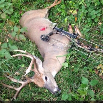 NHoutakker's profile picture. 