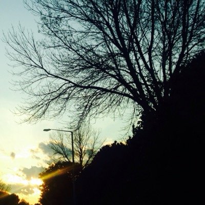 MemoriesIL's profile picture. Official Twitter of Memories. For fans of: Crown The Empire, Asking Alexandria, We Came As Romans, August Burns Red, White Chapel. Signed to @OuttaSightMuzik