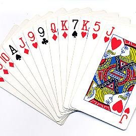 DNRBridge's profile picture. 