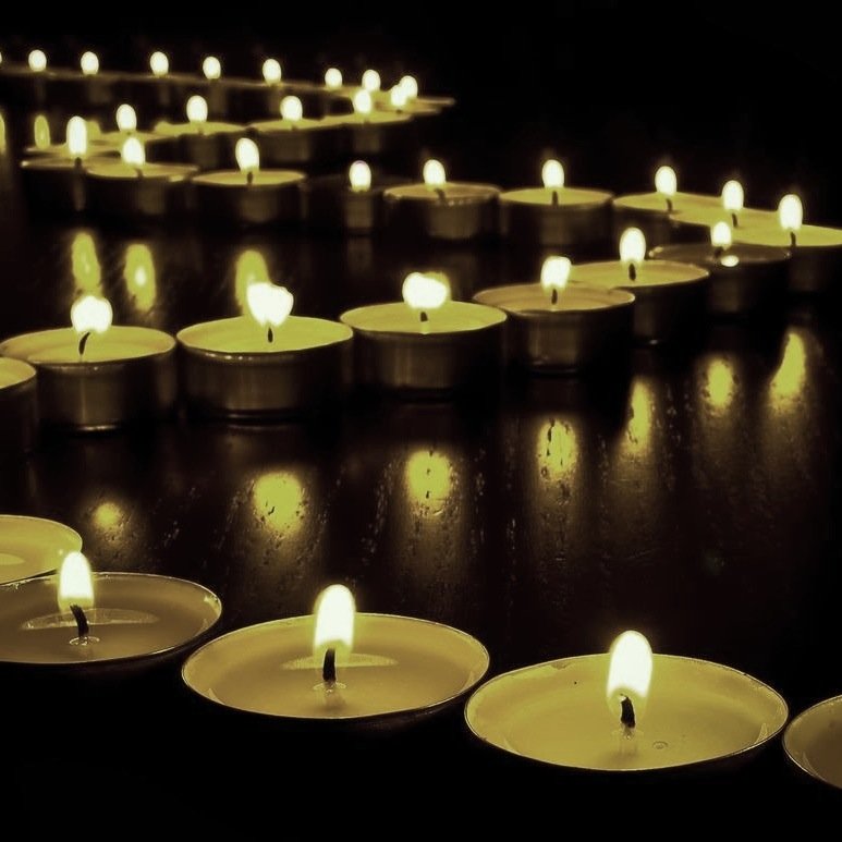 EverestDog's profile picture. Fine. Travel. Real. Reviews.