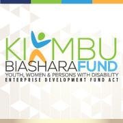Promoting self-employment through funding innovative ideas and businesses with highest job creation capacity.
