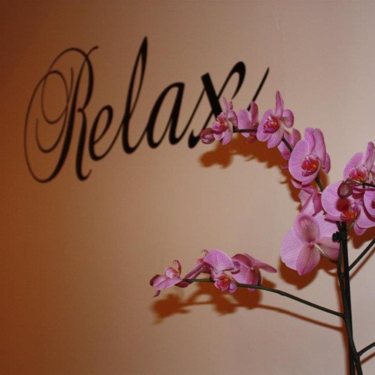 LittleBeautyBox's profile picture. Little Beauty Box, an exclusive beauty salon based in Bromley where we will offer you professional treatments in our beautiful and tranquil salon.