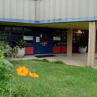 Williams Elementary (@williamswildcat) 's Twitter Profile