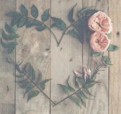 'elegance is the only beauty that never fades'