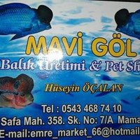 MAVİ GÖL AKVARYUM (@huso7410) 's Twitter Profile