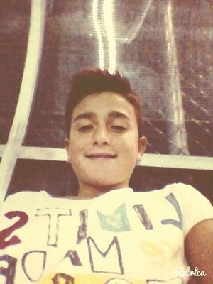 andreq volpe