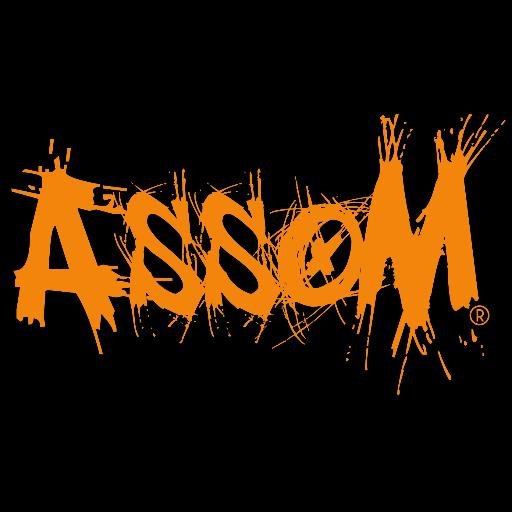 AssoM - Tous étudiants !  Association d'étudiants bénévoles qui veulent dynamiser la vie étudiante de leur région !