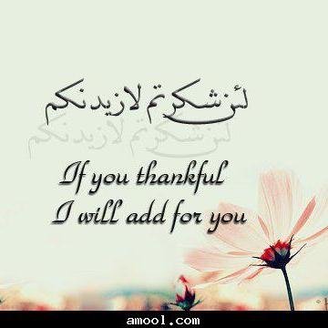 nadiaraya2's profile picture. A Risk Manager to be :)) Incredible passion and talent for photography:D
Dreamer Believer Achiever !    https://t.co/SPZ6HCWAu6