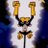 prajjwal19's profile image