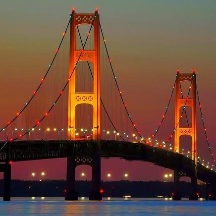 MISportsMitten's profile picture. 