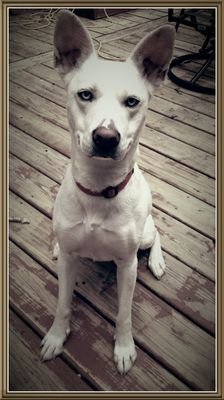 dkraemer1209's profile picture. 