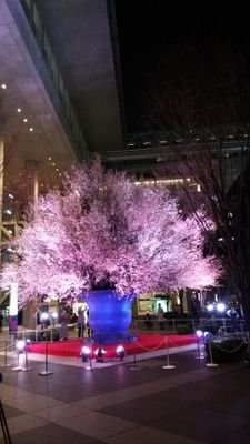 ミュージカル、KinkiKids、ディズニーダンサーがとにかく大好きな万年腰痛の介護士です。あとエロメンさんも✌️