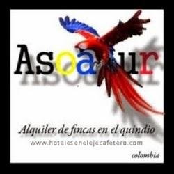 planes todo incluido a amazonas, san andres, panama, girardot...  ofrecemos planes de quinceañeras, edad dorada, plan madres, excursiones etc.