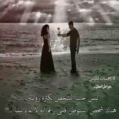 مهيمن حسن العراقي