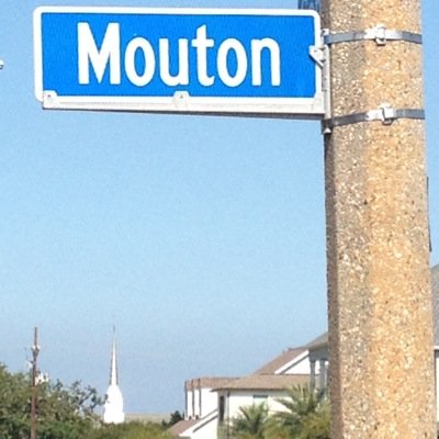 DebraMouton1's profile picture. 