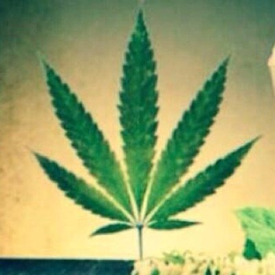 hihowhighru's profile picture. smoke weed everydayyyy