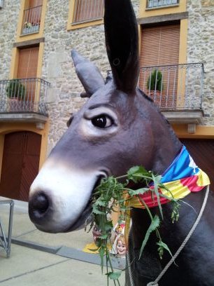 Aviat lliures!!!!