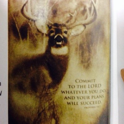 fulldraw2014's profile picture. Live for the hunt