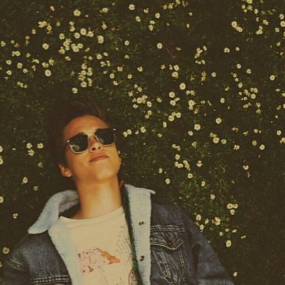 i like sunflowers and boy bands