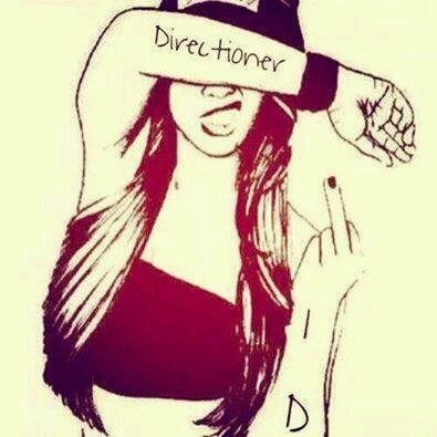 Soy Alicia, tengo 13 años, me encanta la musica de todo tipo pero lo mas importante es que soy Directioner de ♥
