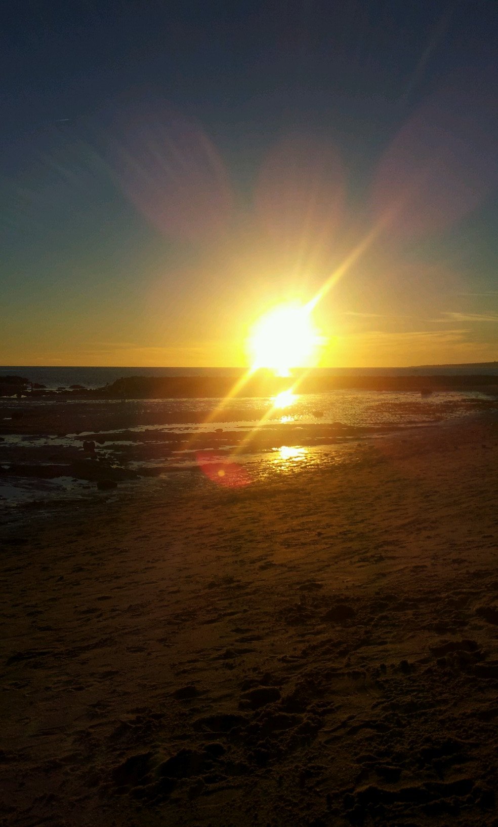 MJHIDALGO1's profile picture. 