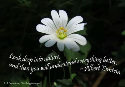 My own photography with added inspiration  ☆★☆ - plus sharing and voicing my concerns about our world ☆☆☆